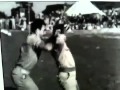 Videa