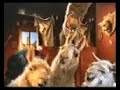 La llama que llama - Dalai Lama