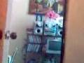 videos de joshoman