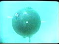 old-us-navy-eod-divers.html