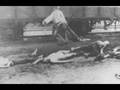 Bury Me Standing (Opre Roma) by Skeleton Crew