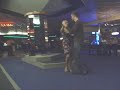 28.2.2008 salsa Tropison
