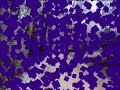 Winter.wmv