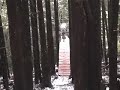 Ewan-Woodlot Roadgap