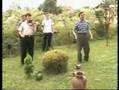 Senny i Kalesijski Zvuci - Jesili se Bosne zazel
