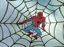 Spiderman tribute