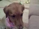 Christie returns from the beauty salon!
