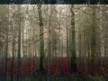 Bekijk muziek clip van Eagles met No More Walks In The Wood