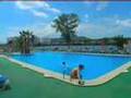 ALCUDIA - MALLORCA - Amapola