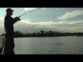 Carolina Beach Fishing Charters, TOPWATER Speckled Trout!!