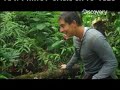 Check out Bear's Ten SCARY SURVIVAL moments: dsc.discovery.com If you should have to get in some really rapid water to survive, Bear Grylls demonstrates the best techniques.