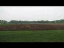 Fallow field