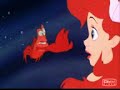 la sirenita   bajo el mar  cancion 
