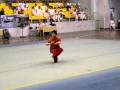 Championnat national du Vietnam 2011