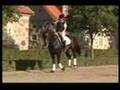 what is horseback riding really like??? (MUST WATCH)