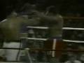 videos de Muhammad Ali vs George Foreman 3