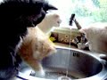tijd voor een douche