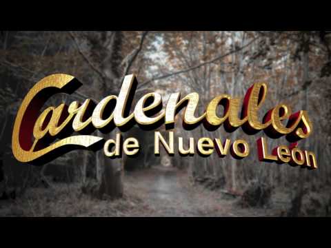 Amor Falso - Cardenales de Nuevo León