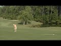 Myrtle Beach Golf Holiday - Meadowlands