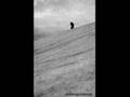 PAYSAGE D'HIVER