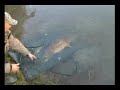 Big Wild Carp Fishing in LITHUANIA (Season 2006)