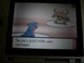 Pokemon D/P Wi-Fi Battle Vs. Rockleefanz