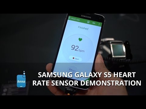 how to check heart rate