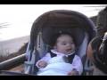 Sol Swamis 11_2008.wmv
