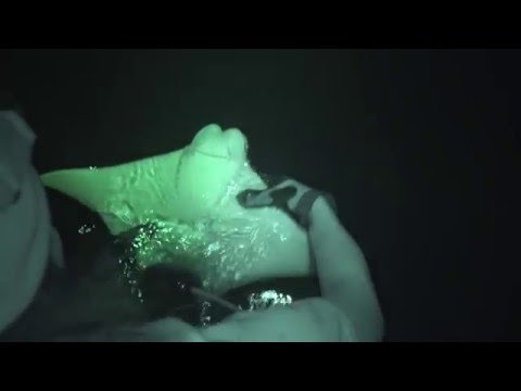 Operation Milagro II: Vlog 15 - Good Bye