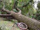 my crash