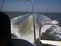 Wake from our 2005 macgregor 26M at wide-open-throttle. 50hp Johnson 4-stroke OB. We're doing about 11.5 kts here.