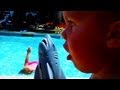 SHAYTARD SHARK ATTACK!