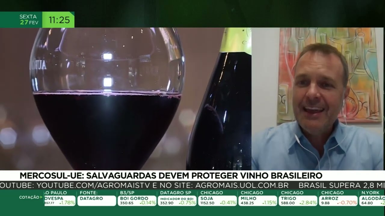Mercosul-UE: Salvaguardas devem proteger vinho brasileiro