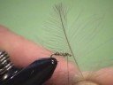 Mad River CDC Caddis Mad River CDC Caddis
