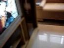 sou novinho, mas adorei esta m�sica e tamb�m resolvi tocar com jos� rodrix e tavito....