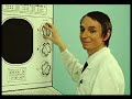 the-mopeds-refused-demoland.html