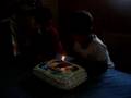 videos de danton