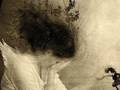 AZADEH MALEKI, LIFE/WWW.AZADEHMALEKI.COM