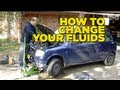 How To Change Your Fluids