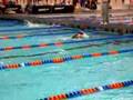 50 breast - 33.62