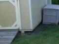 The Woodchuck Hunt!