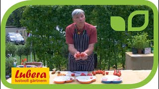 Neue Tomaten von Burpee Europe an der Hampton Court Flower Show 2019