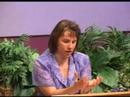 Jehovah's Witness Questions: Answering Questions Your Jehovah's Witness Friends Ask: Topics Include: JWs and Christianity, Trinity, War, Hell, Cross, God's Name Jehovah, God's Kingdom, The Truth  (JWQ Seminar from Witnesses for Jesus, Inc. - www.4witness.org)
