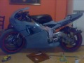 Aprilia rs 125 Vs Minimoto