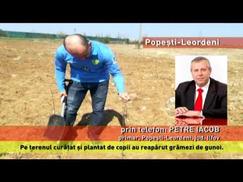 Pădurea Cercetașilor din Popești-Leordeni, vandalizată