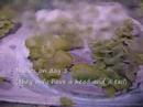 When we noticed that one of our male pearl gourami was making a bubble nest, we decided to move him with a female pearl to a 10G tank with a bottom filter so that they can get a little intimacy.After a week of life, we started to feed the babies baby brine shrimp, which they loved...Thank's for watching!NB: Please see next video for their 5th week of life