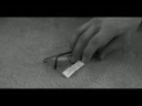Fortune Cookies