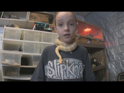 YouTube reptile video