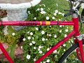 10 Speed All Pro Vintage Road Bike