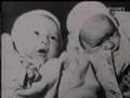 Reincarnation, children remember past life, PART 2